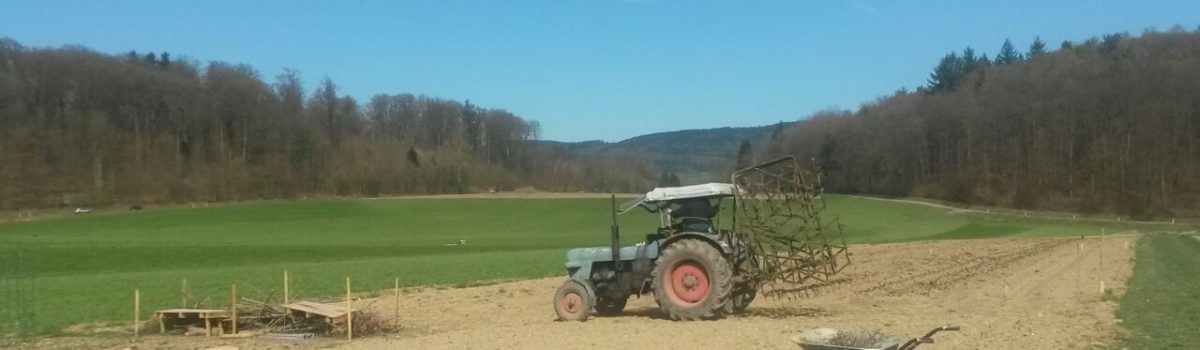 Samstag Gemüseabholung (noch) besser machen + weitere Termine