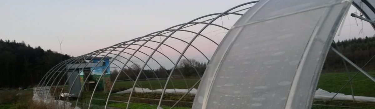 Sturmschäden am Foliengewächshaus