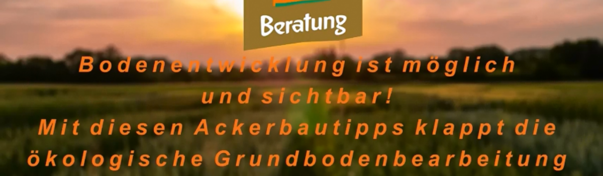 Bodenentwicklung ist möglich und sichtbar!