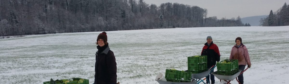 Ackerjournal der Solawi Bodensee e.V. – Frühjahr 2021