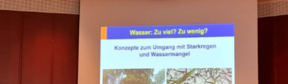 Wasser – zu viel, zu wenig? Konzepte zum Umgang mit Starkregen und Dürre