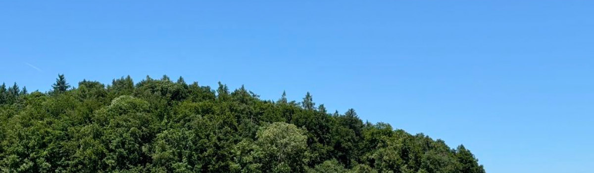 Besuch von 14 Auszubildenden der Sparkasse Bodensee