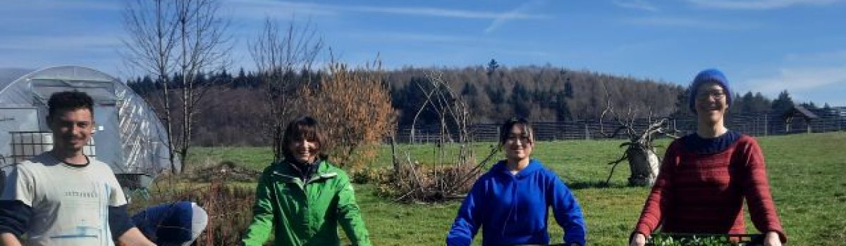 Englische Ackerführung am 26.02.